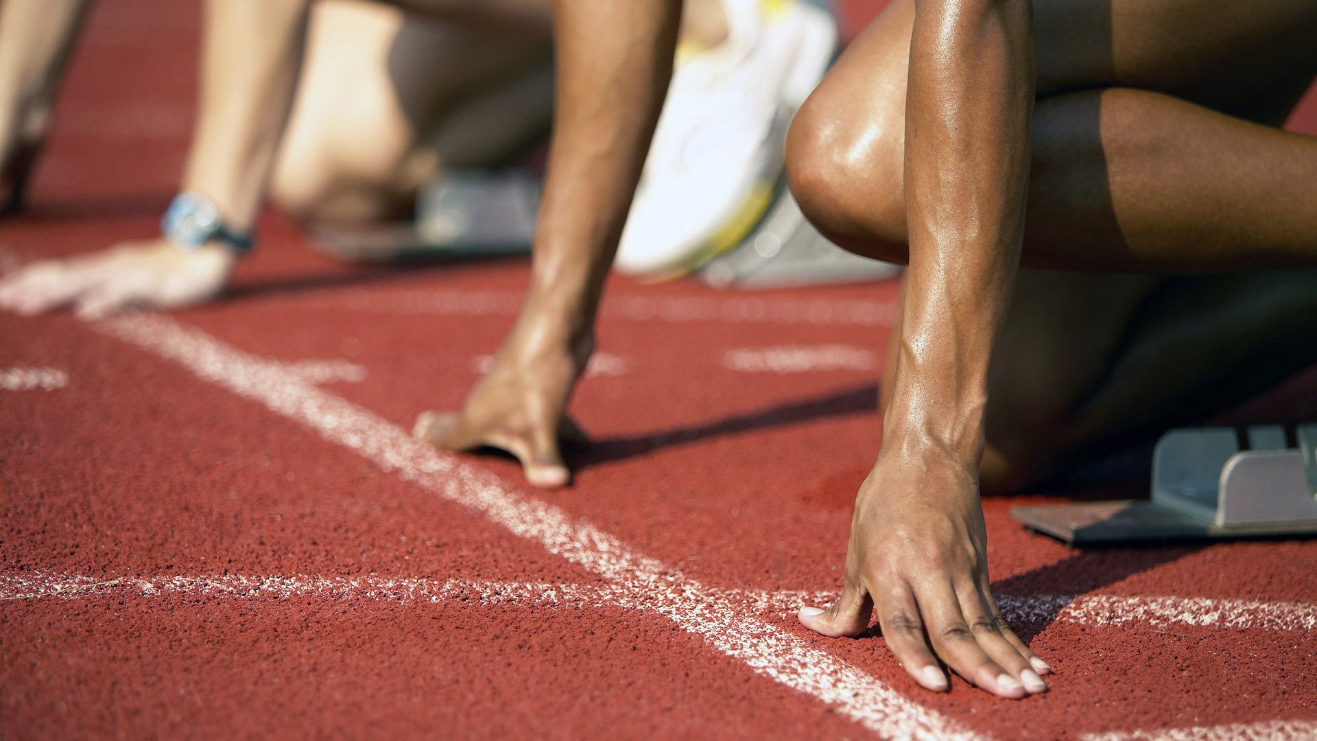 荷兰马术协会与美洲马术协会合作，举办国际马术培训班。，荷兰 马拉松